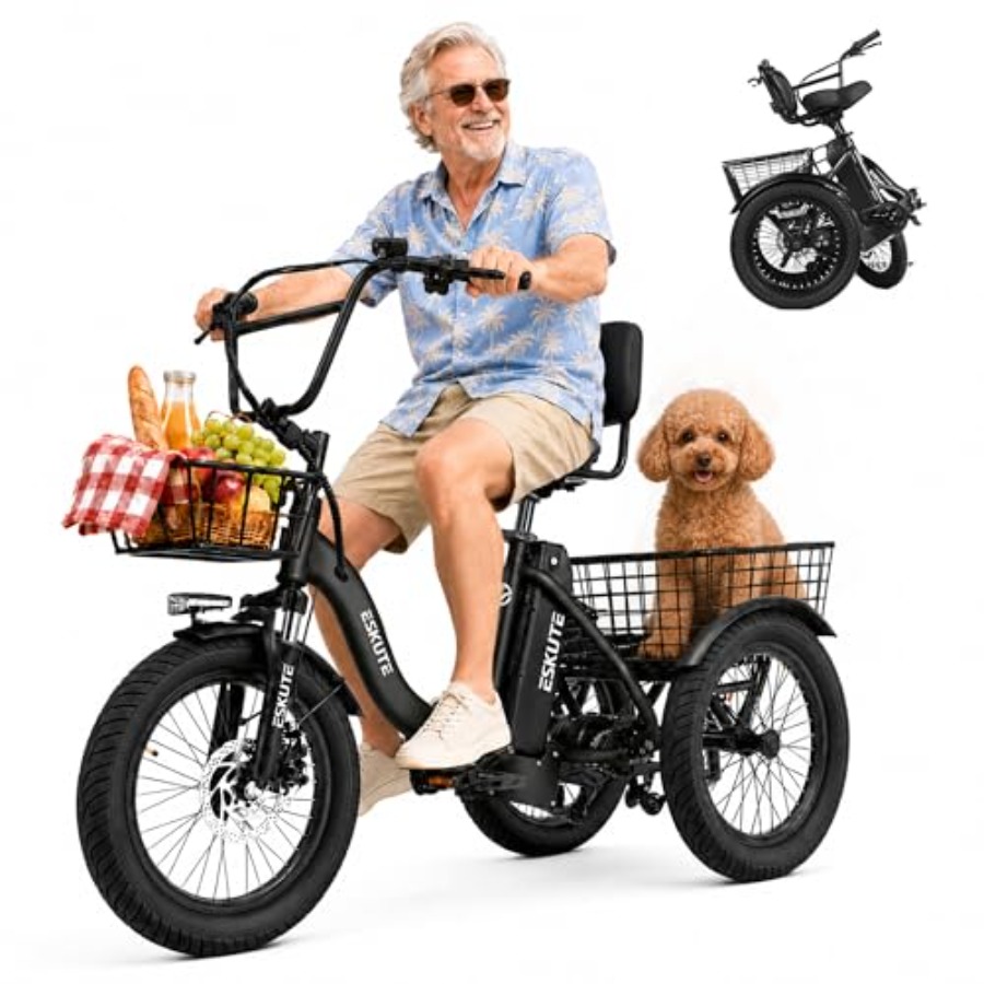 Adults electric trike bike for - Commuting With Bike 评论和价格